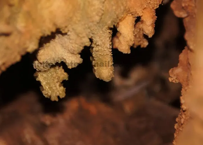 Giannakis Filoxenia 3* Φιλώτι