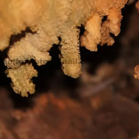 Giannakis Filoxenia 3* Filótion